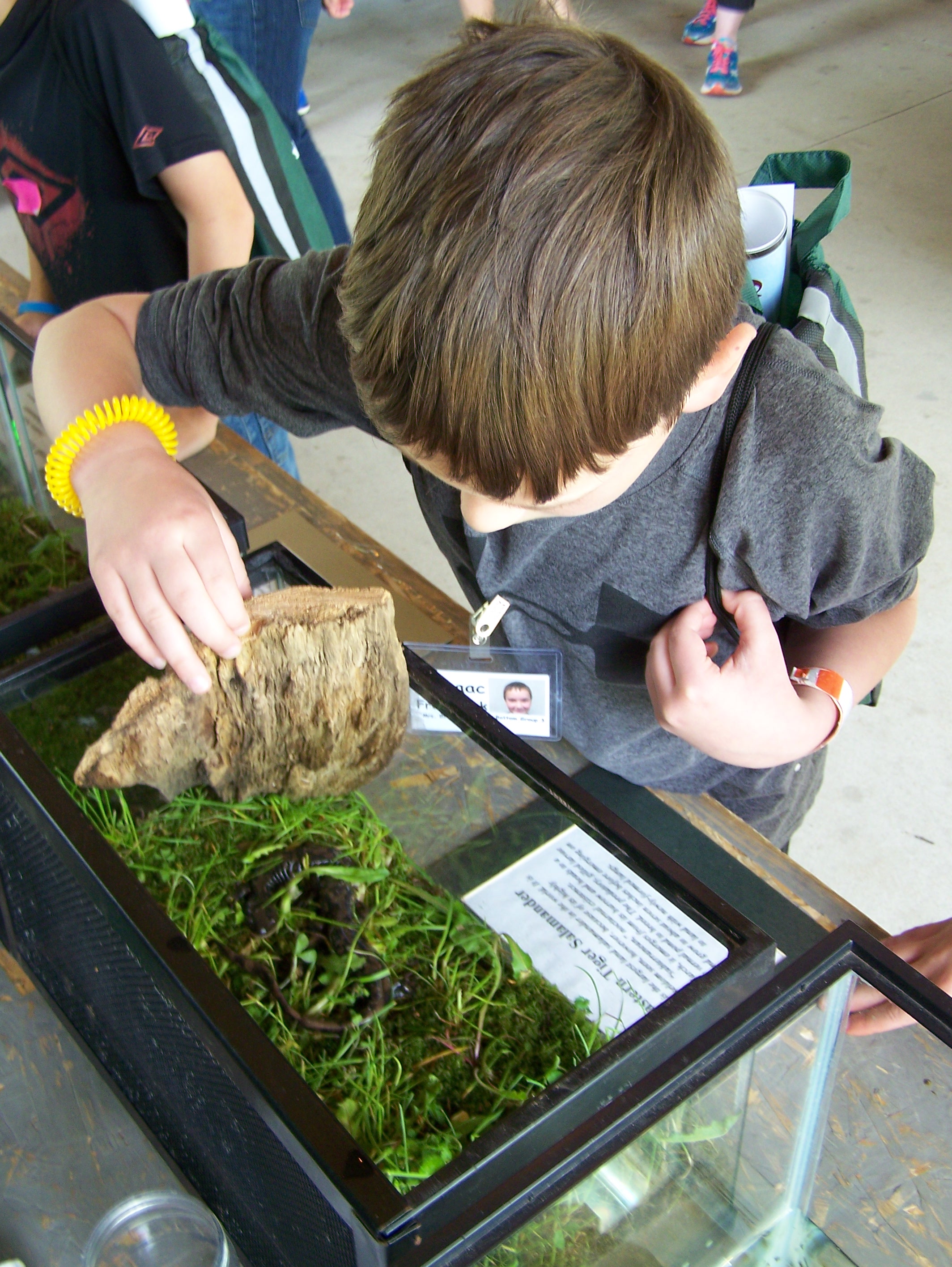 child looking in tank