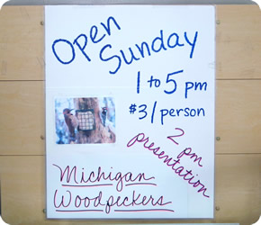 Open Sunday